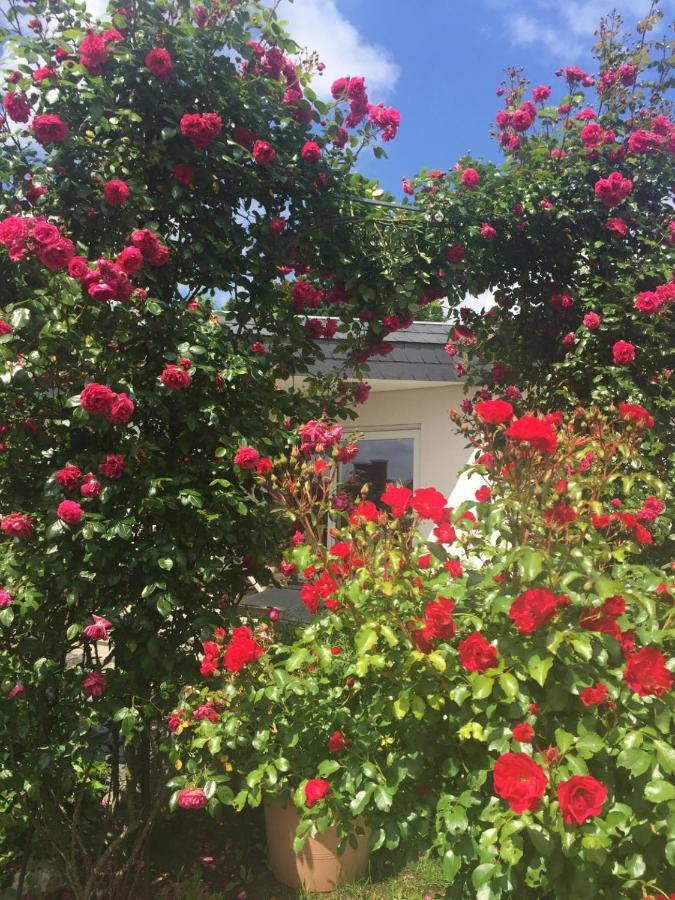 Apartmán Bei Annemarie Trevír Exteriér fotografie